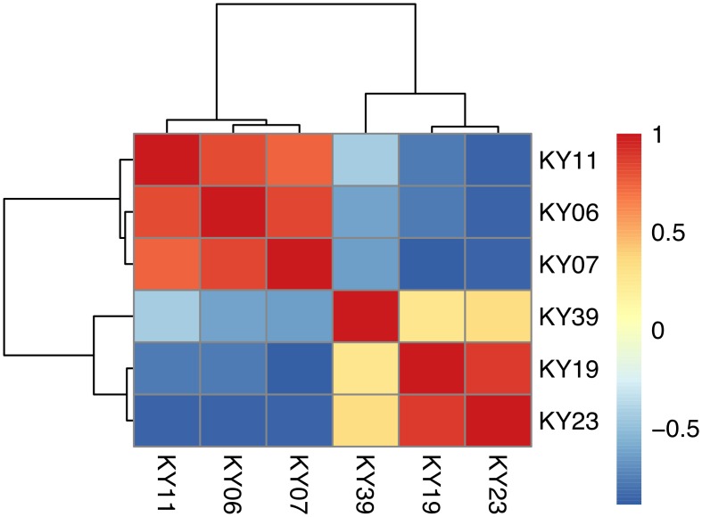 Fig 6