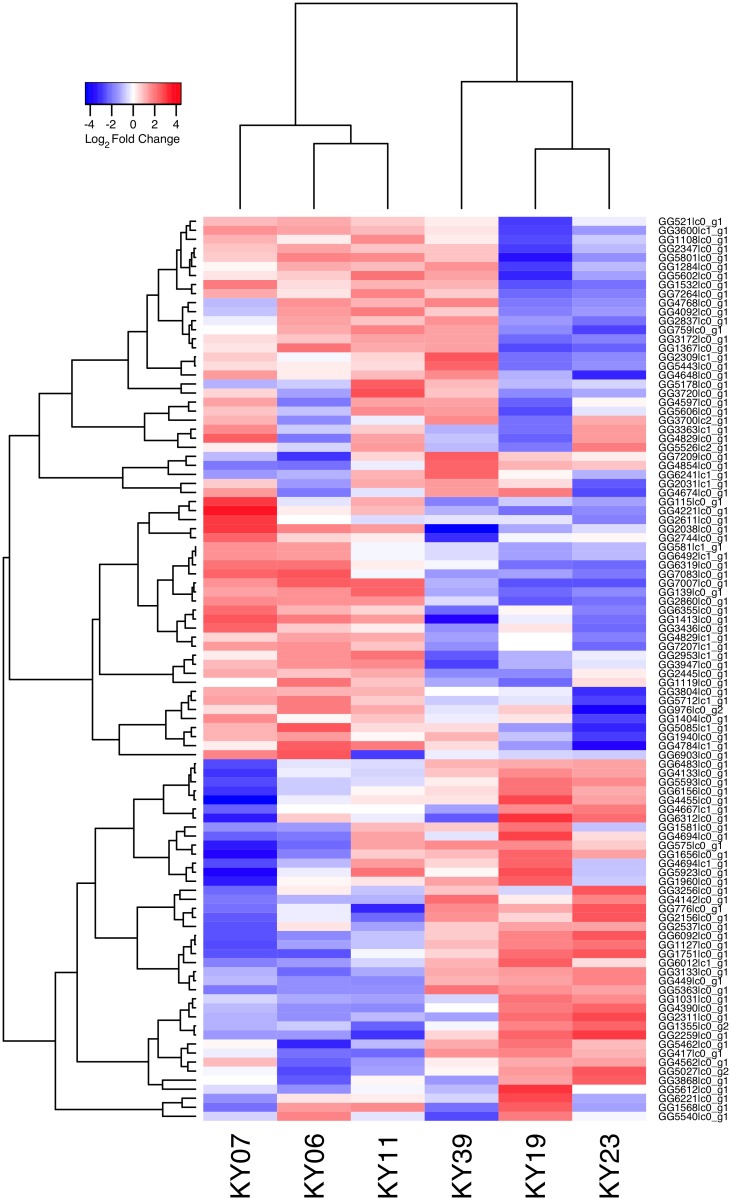 Fig 5