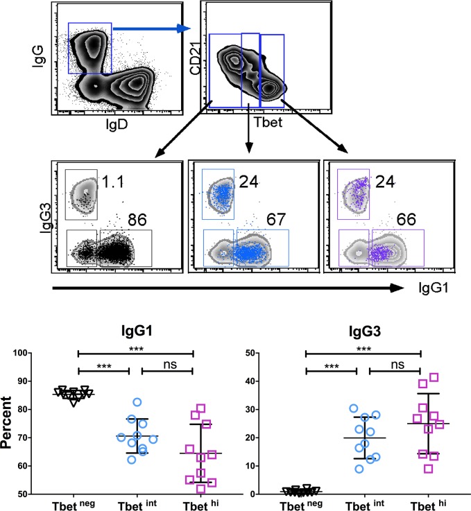 Fig 6