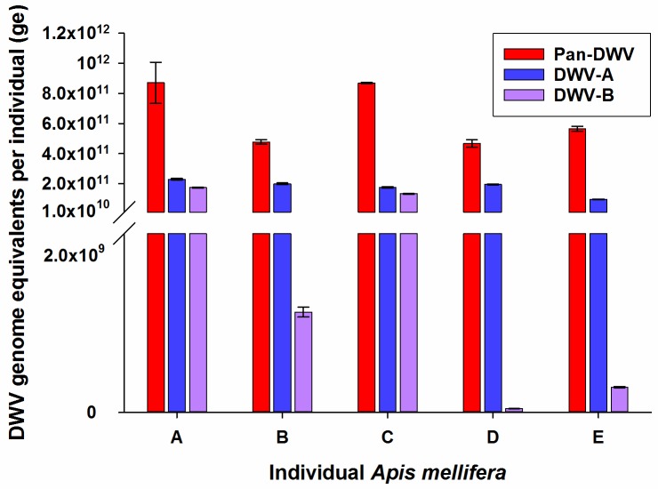 Fig 3