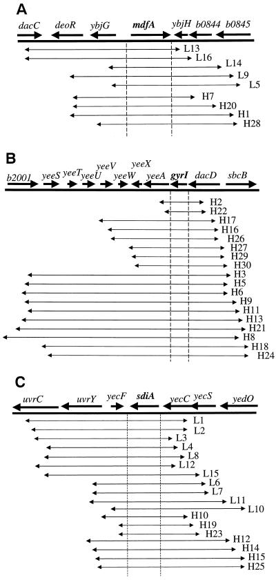 FIG. 1