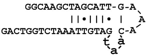 Figure  2. 