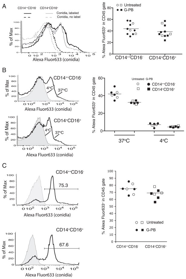 FIGURE 3