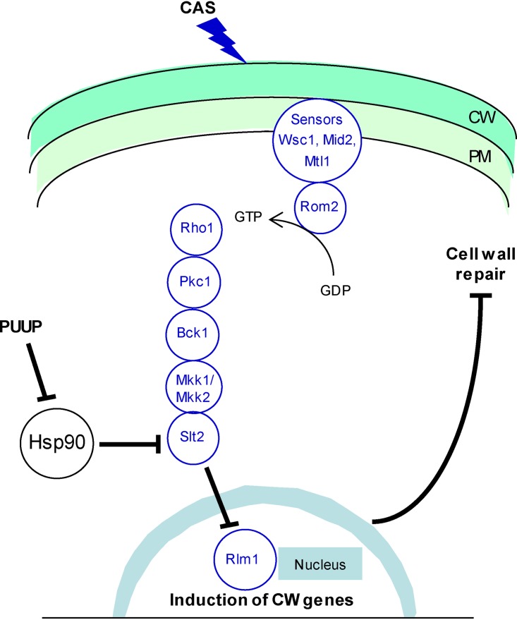 FIG 6