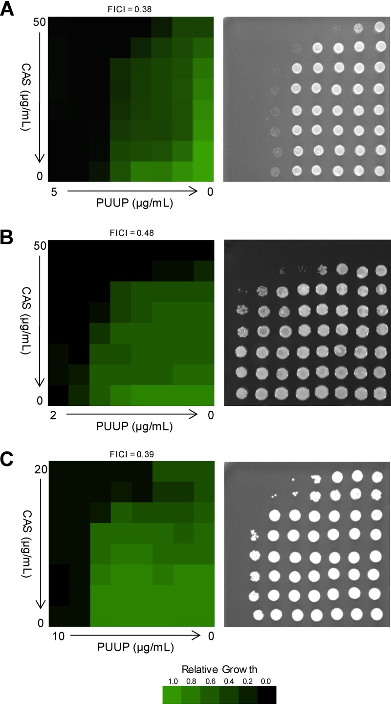 FIG 1