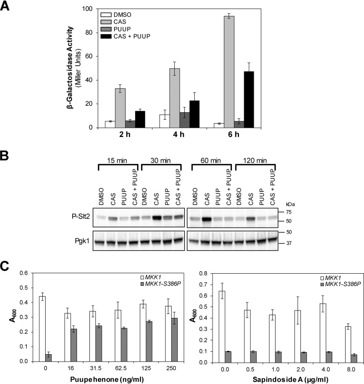 FIG 3