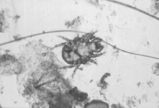 Figure 16.2