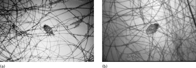 Figure 16.3