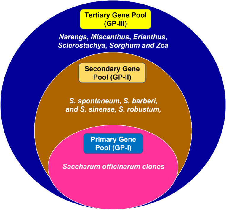 Figure 3