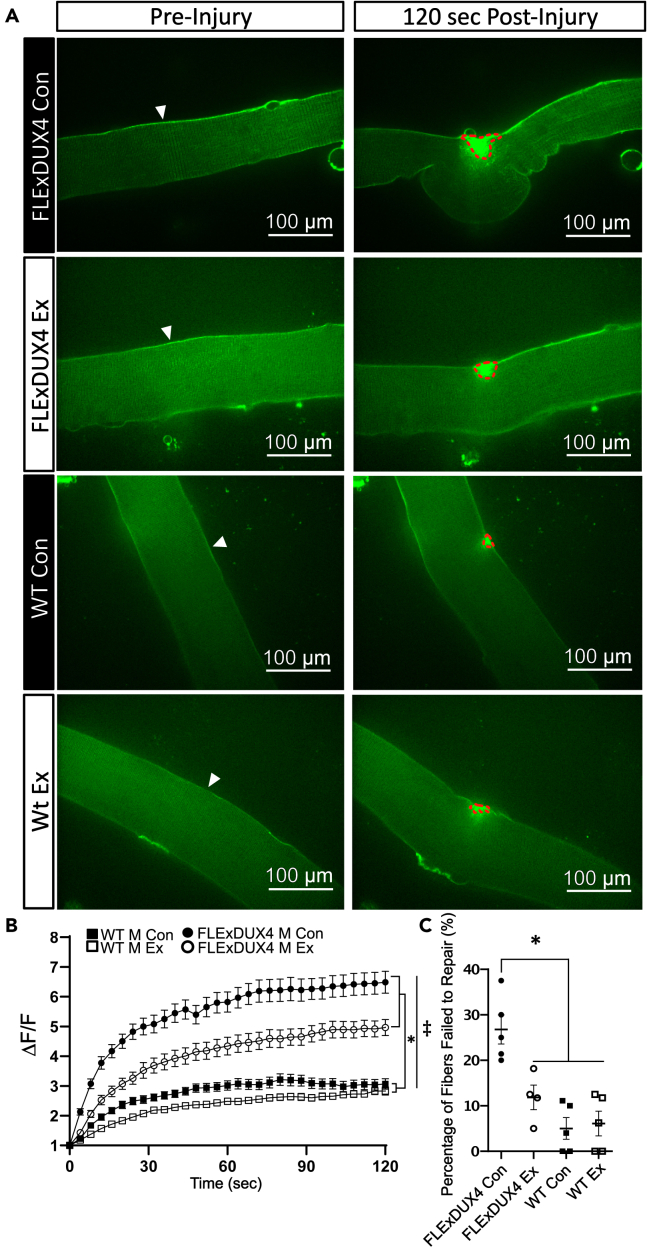 Figure 6