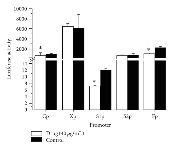 Figure 5