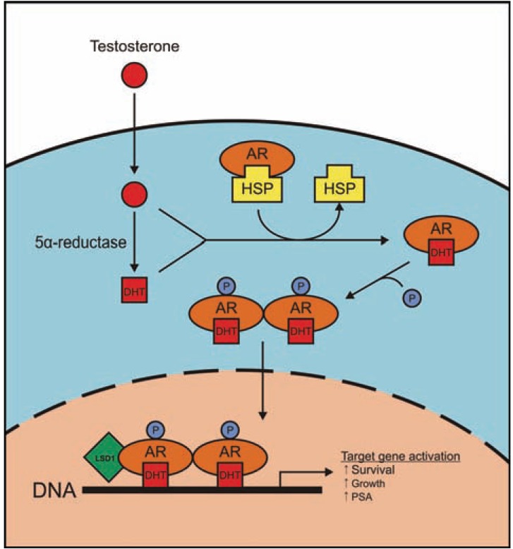 Fig. (3)