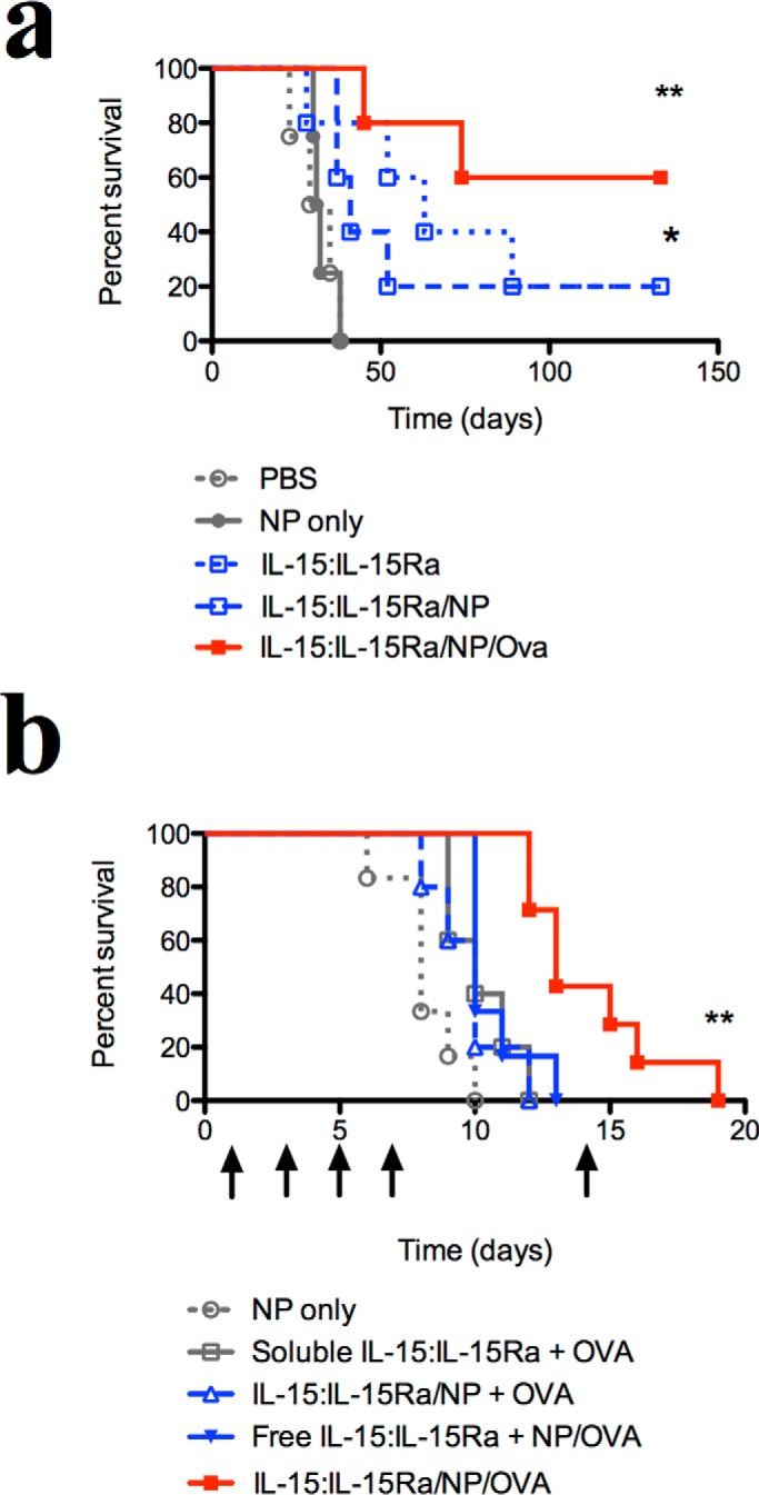 FIGURE 10.