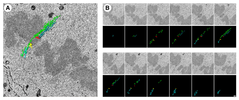 Fig. 8