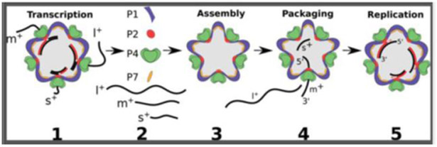 Figure 1.