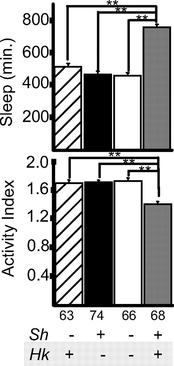 Figure 7.