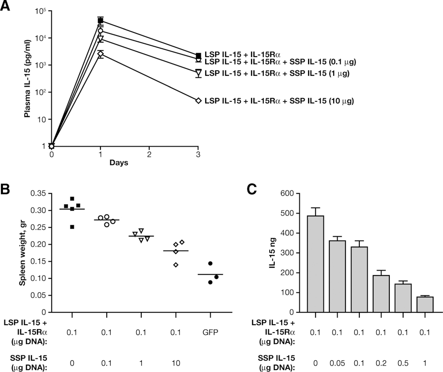 FIGURE 7.