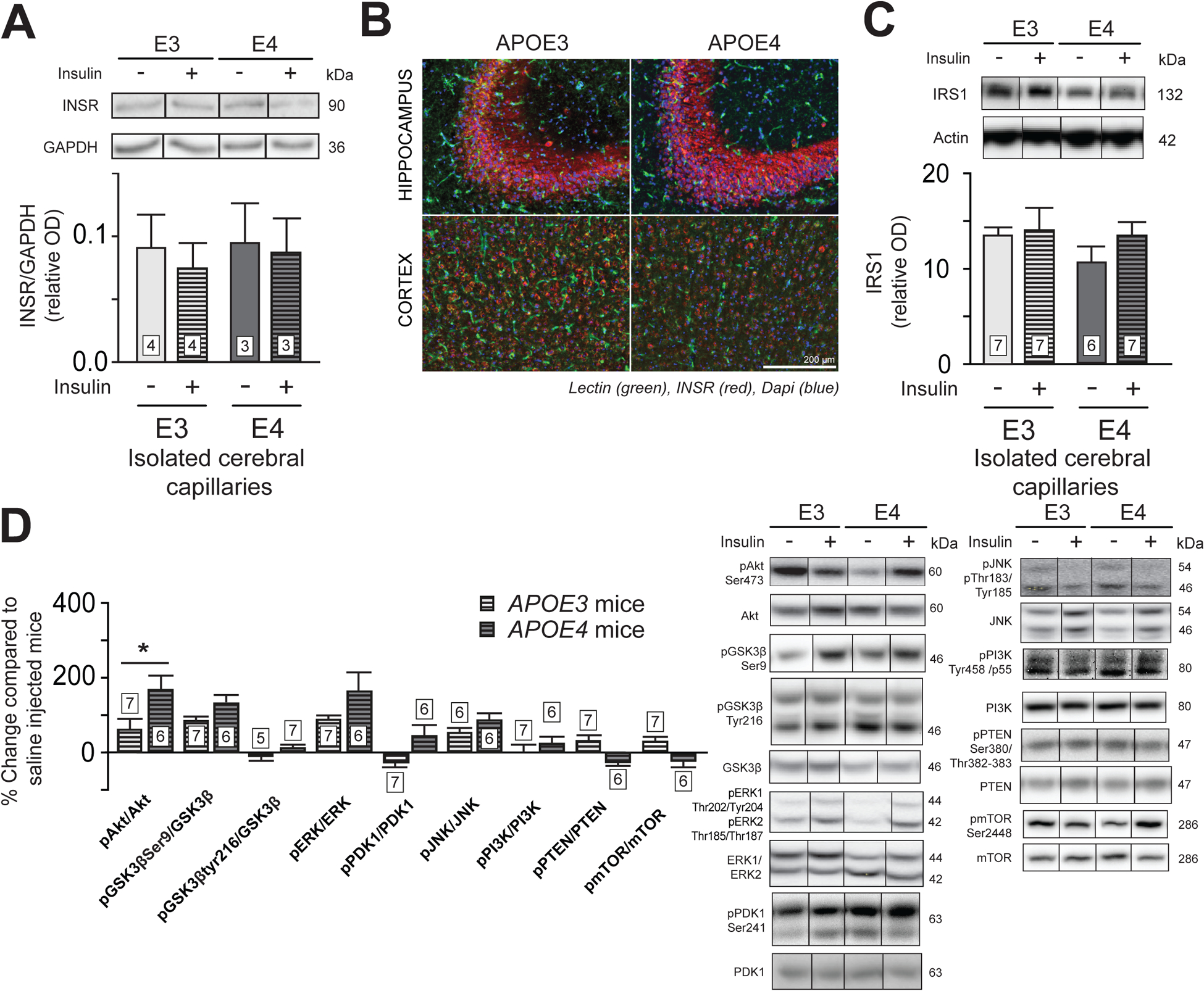 Figure 2 :