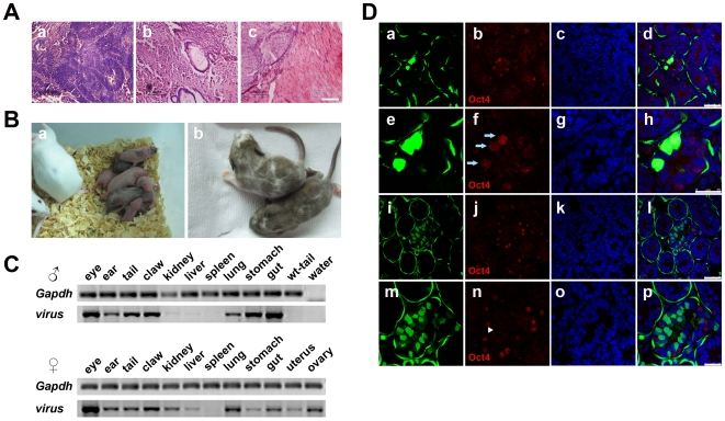 Figure 6