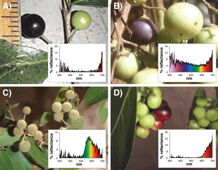 Fig 2