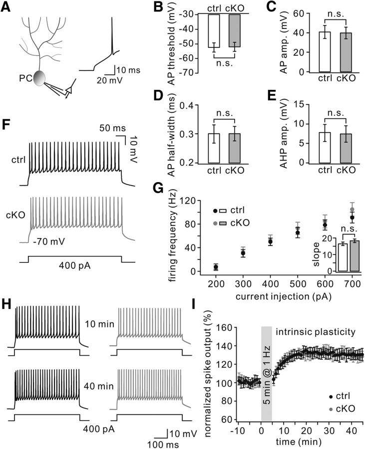 Figure 10.