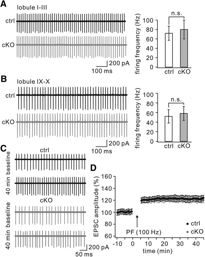 Figure 11.