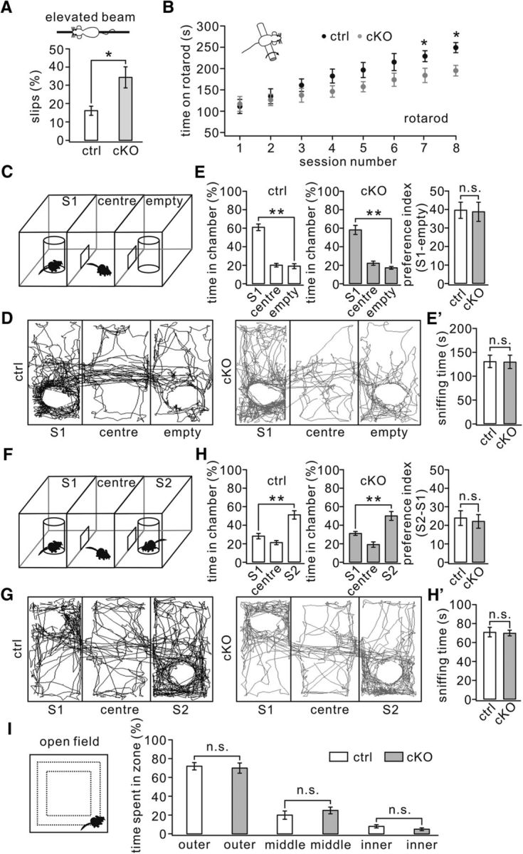 Figure 12.