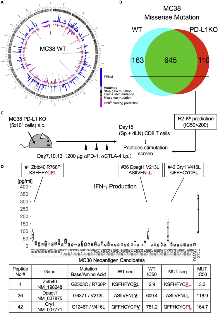 Figure 3