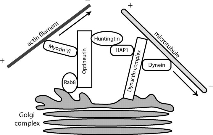 Figure 9.