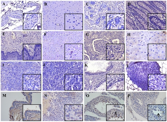 Figure 5