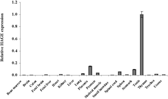 Figure 4