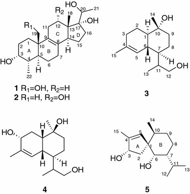 Fig. 1