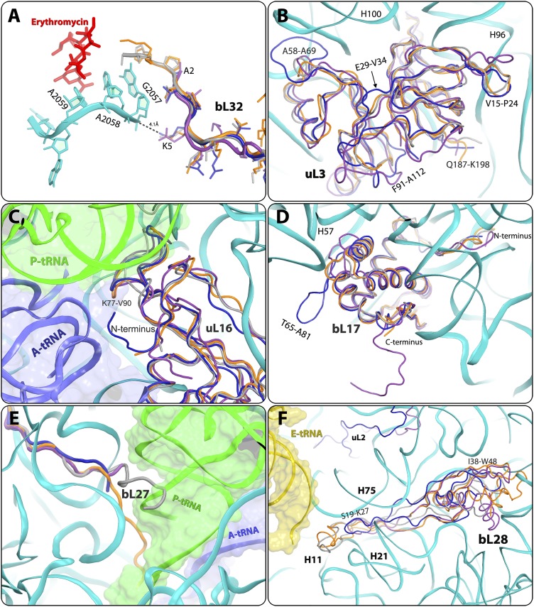 Fig. 4.