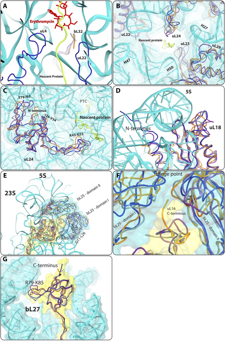 Fig. S4.