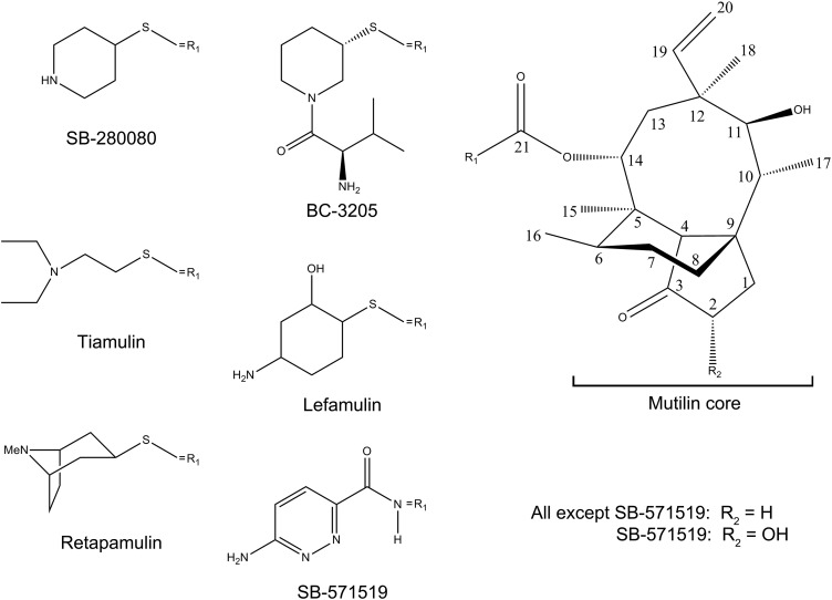 Fig. S1.