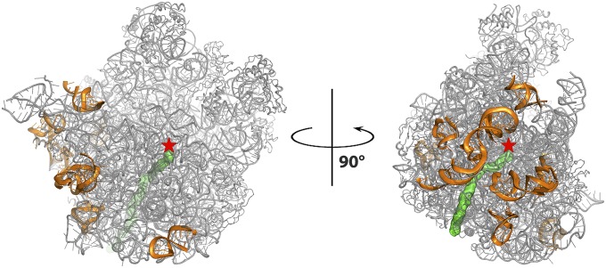 Fig. 1.