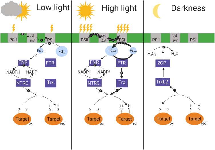 Figure 2.