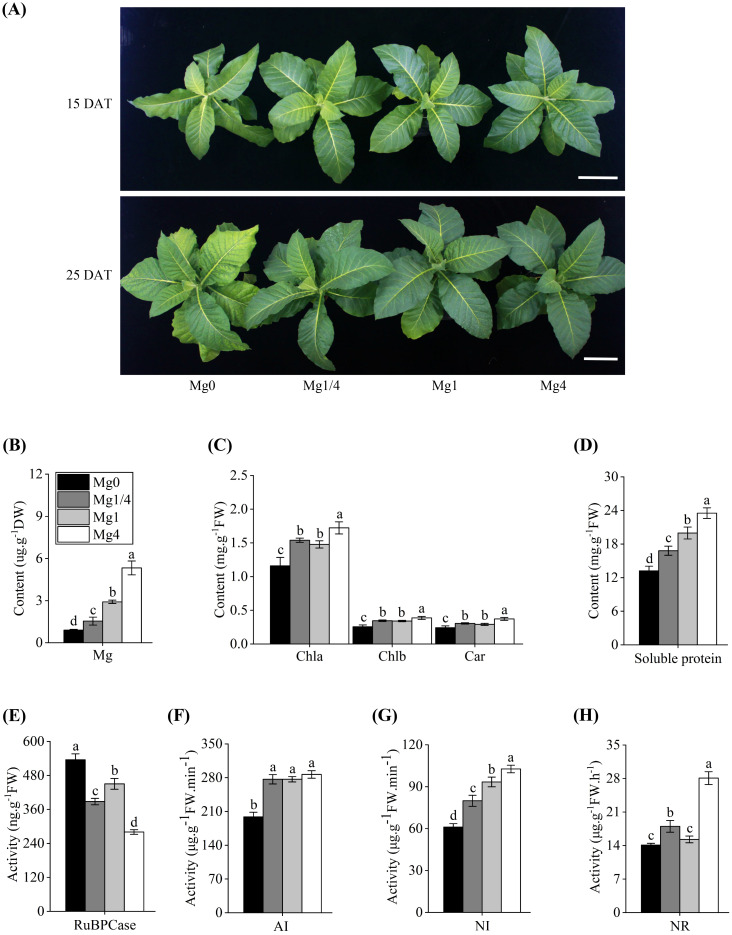 Figure 1