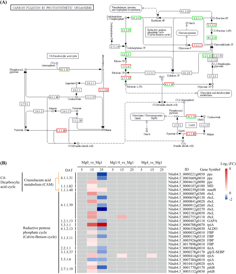 Figure 6