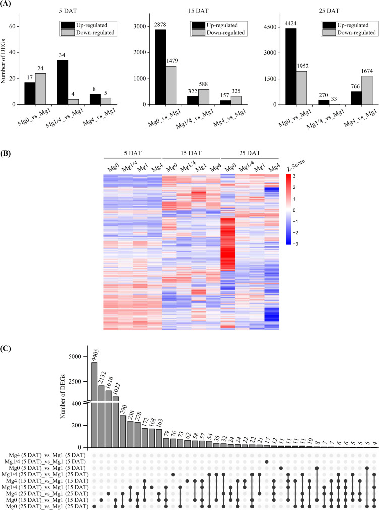 Figure 2