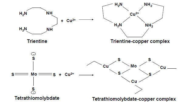 Fig. (14)