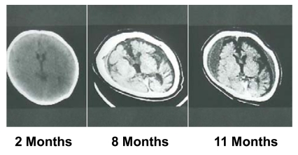 Fig. (7)