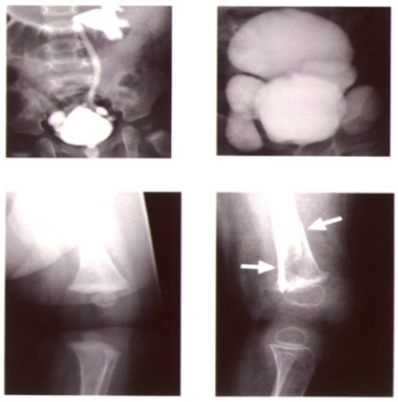 Fig. (8)