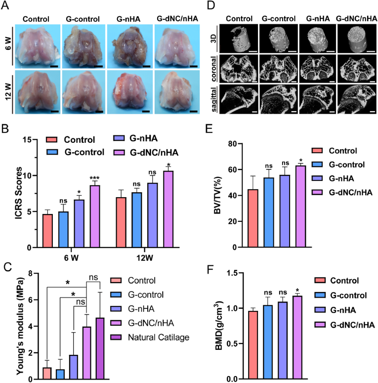 Fig. 6