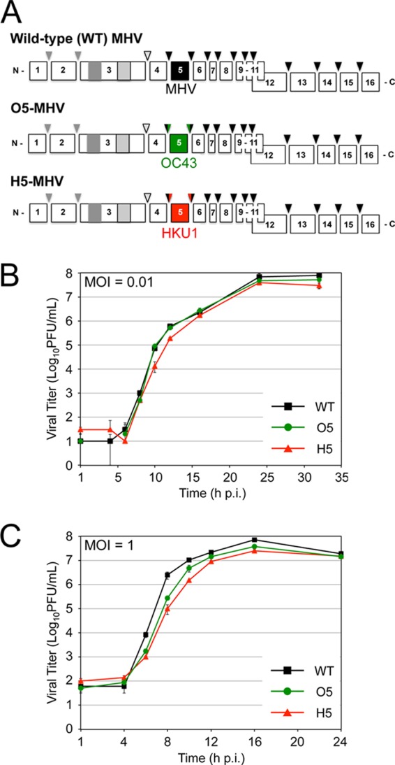 Fig 2