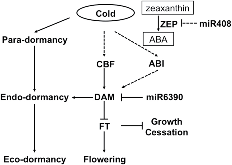 Fig. 12.