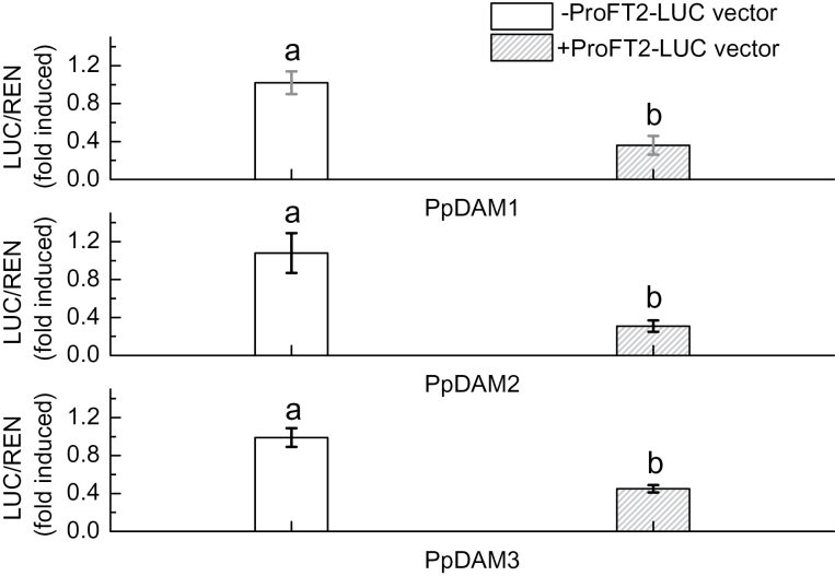 Fig. 8.