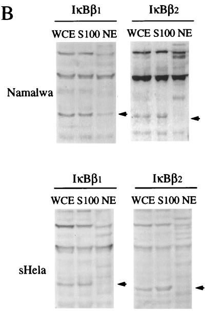 FIG. 5