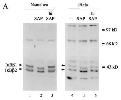 FIG. 5