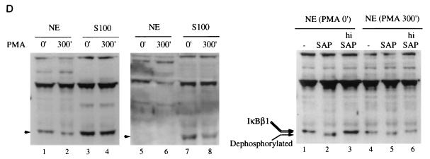 FIG. 5